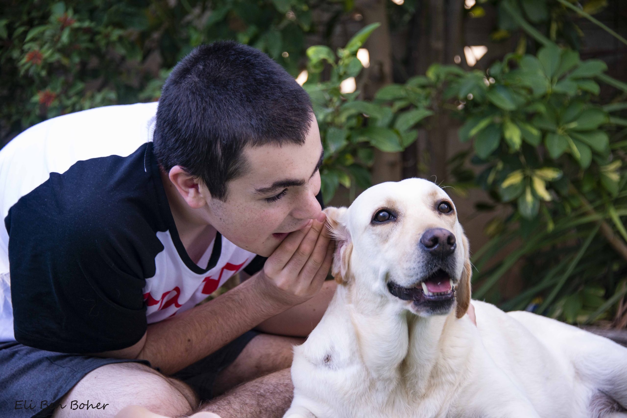 Boy whispers into Guide Dogs ear
