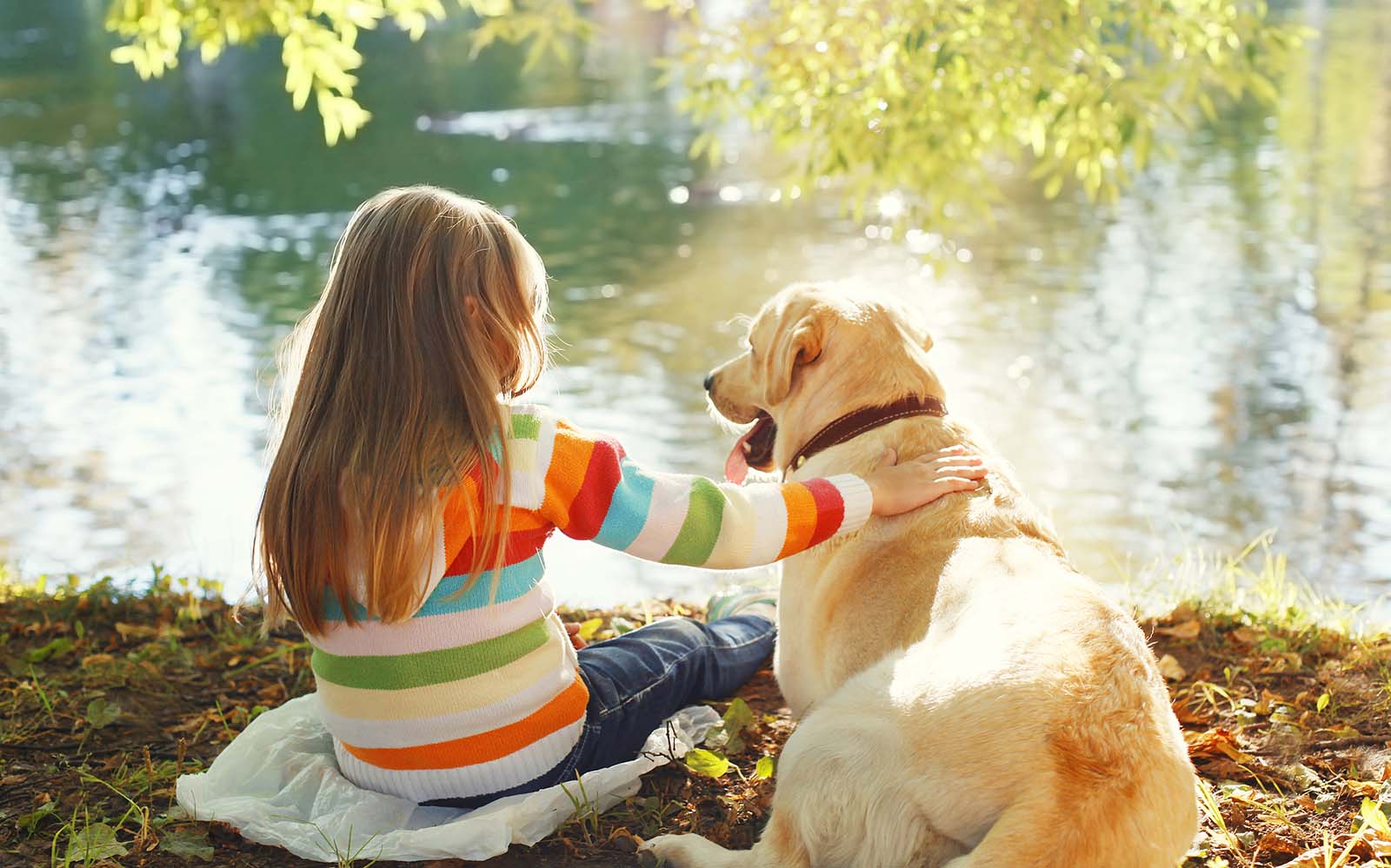 Emotional Support dogs for children with Autism